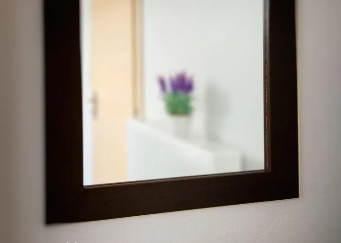 公寓 第二个家公寓