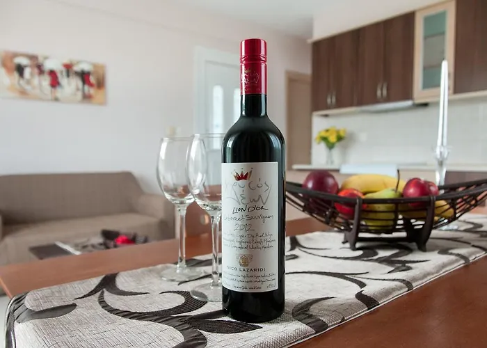 第二个家公寓 斯卡拉索提罗斯