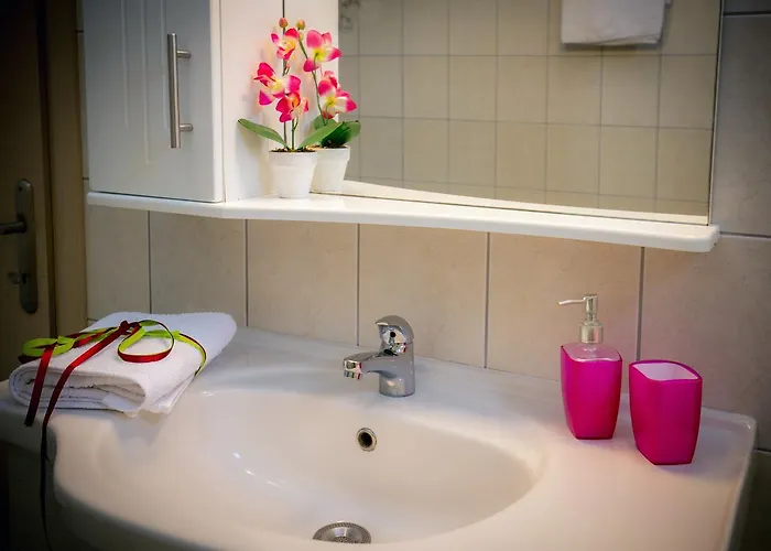 第二个家公寓 *